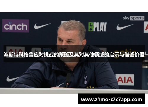 波斯特科格鲁应对挑战的策略及其对其他领域的启示与借鉴价值 波斯特科格鲁应对挑战的策略及其对其他领域的启示与借鉴价值