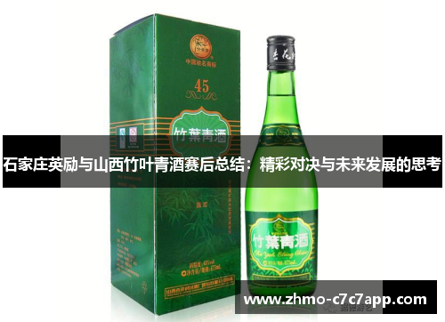 石家庄英励与山西竹叶青酒赛后总结：精彩对决与未来发展的思考